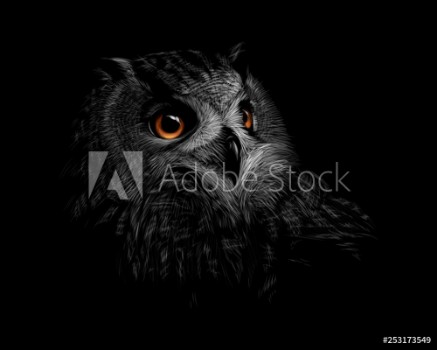 Bild på Portrait of a long-eared owl on a black background